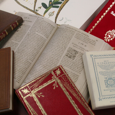 Imagen Acabados general